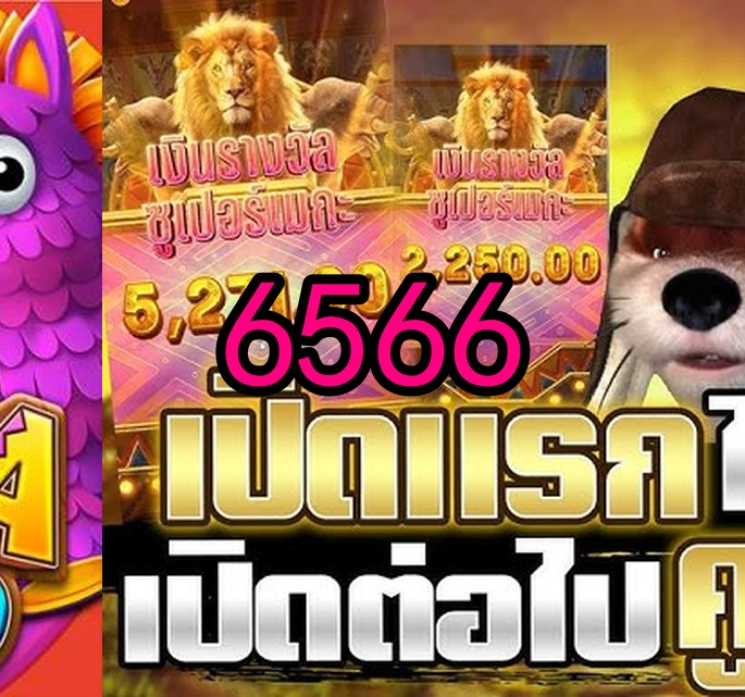 6566.com